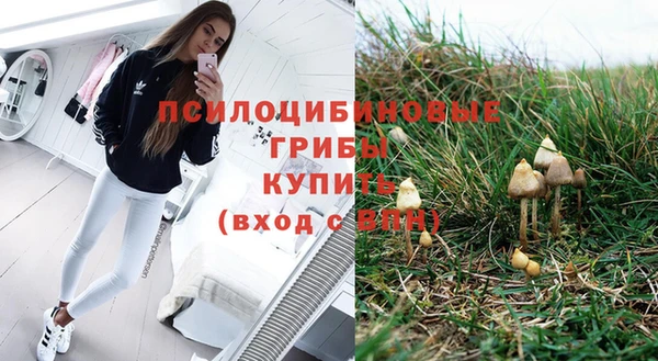 гидропоника Алексин